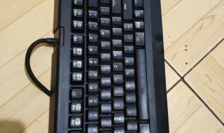 雷蛇黑寡妇蜘蛛标准版灯光怎么调 黑寡妇蜘蛛机械键盘