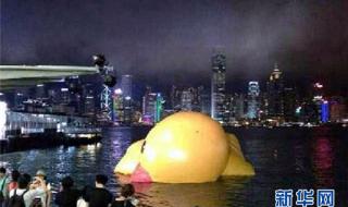 香港大黄鸭被热爆