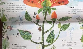 新视觉艺术 新视觉艺术