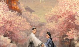 月升沧海超前点播 月升沧海超前点播