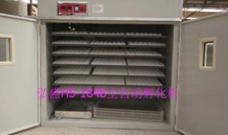 小型孵化机 小型孵化机