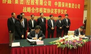 保利集团有限公司是什么性质公司 中国保利集团公司